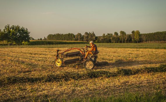 Campagna e industria, contadino che lavora con vecchi mezzi foto Antonio Boschi