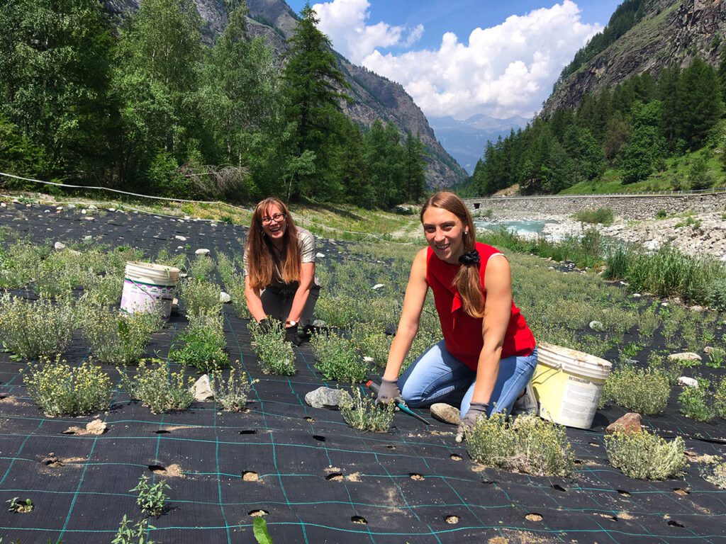 Emilia Berthod produce Genepi