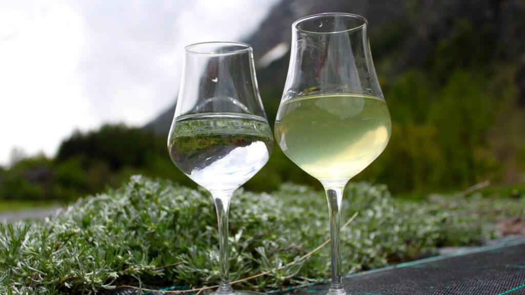 Il Genepi del Paradiso