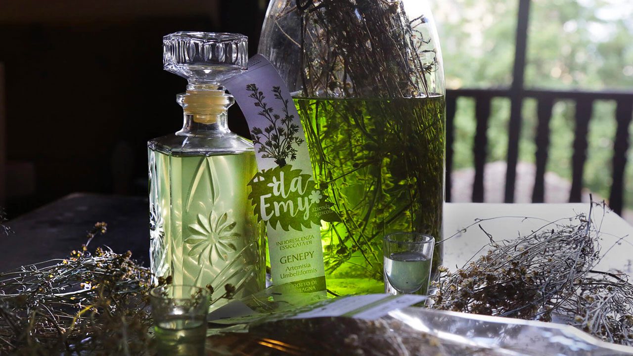 Genepi da Emy del Gran Paradiso