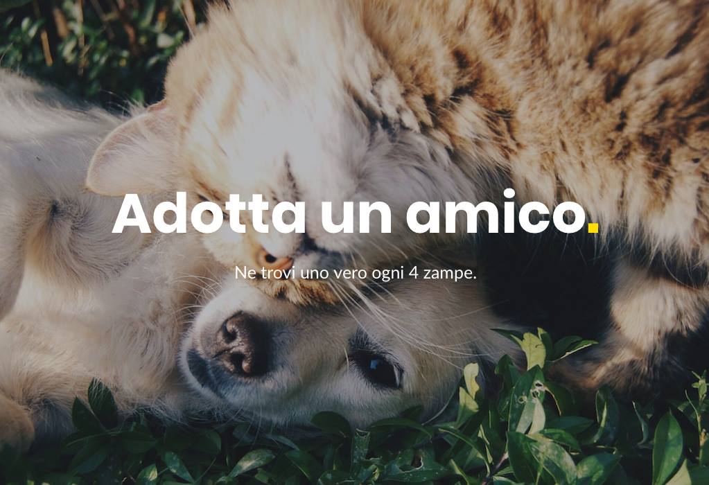 Datemi Una Cuccia_Adotta un amico